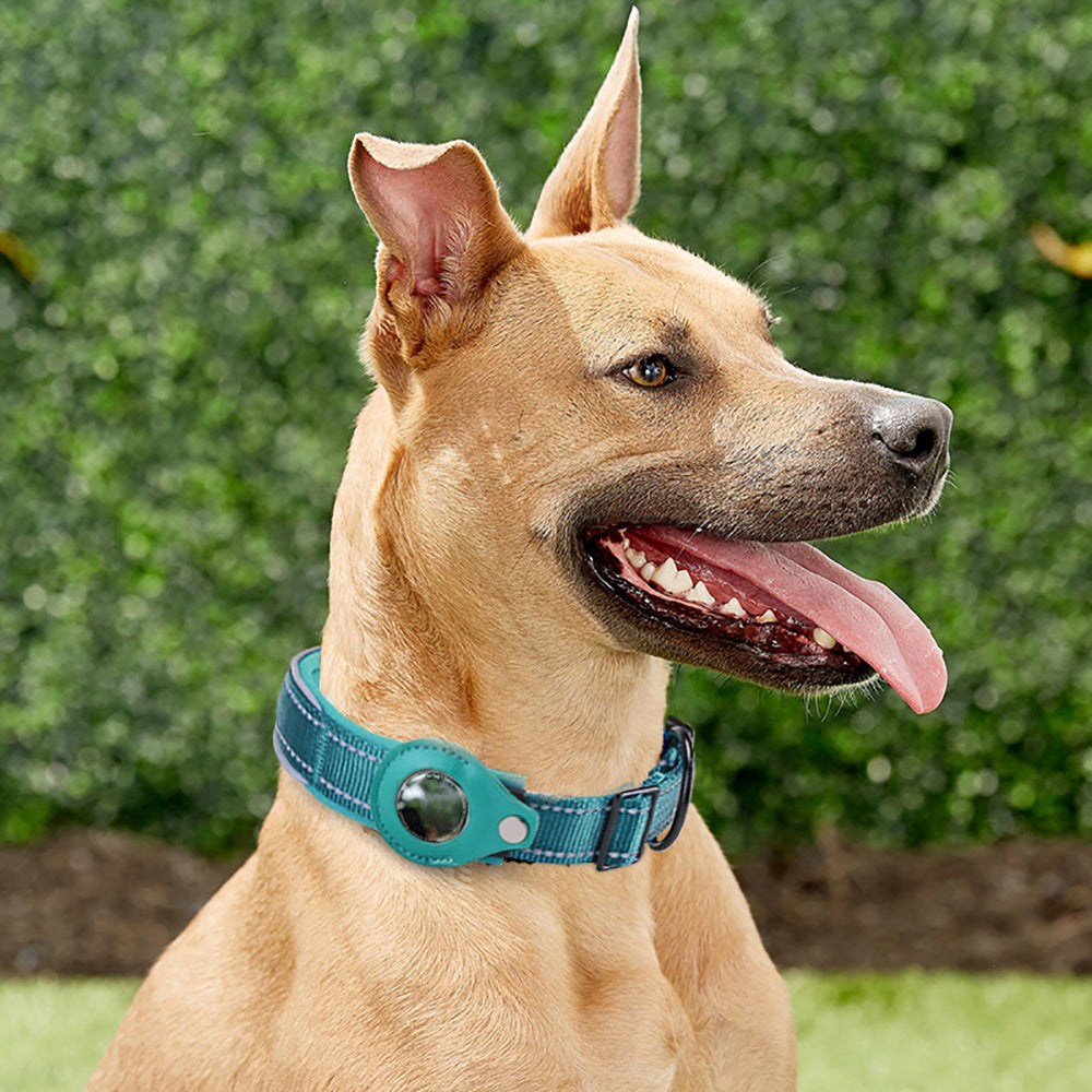 Waterproof Anti-Lost Pet Positioning Collar for The Apple Airtag Protective Tracker_13