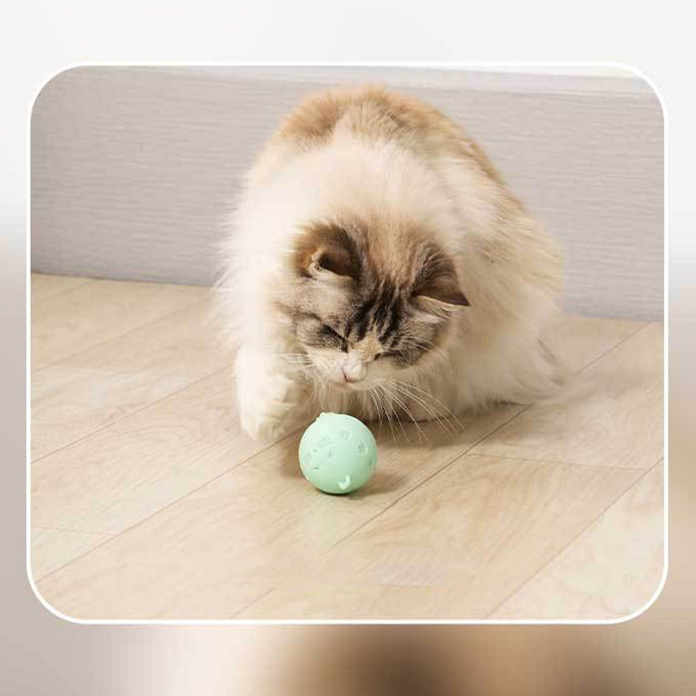 USB Rechargeable Interactive Automatic Bouncing Ball Pet Toy_6